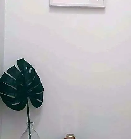 Casa Da Tia Binda Aparthotel Monção